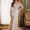 Robe de mariée Princesse en dentelle givrée